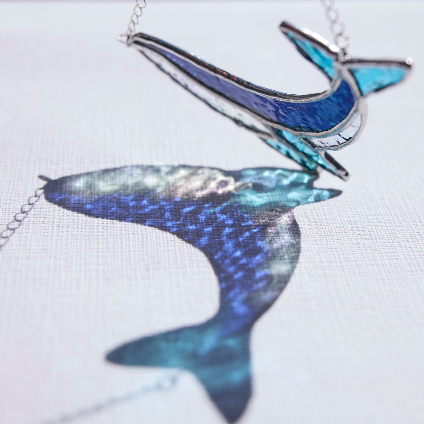 Vitrail baleine