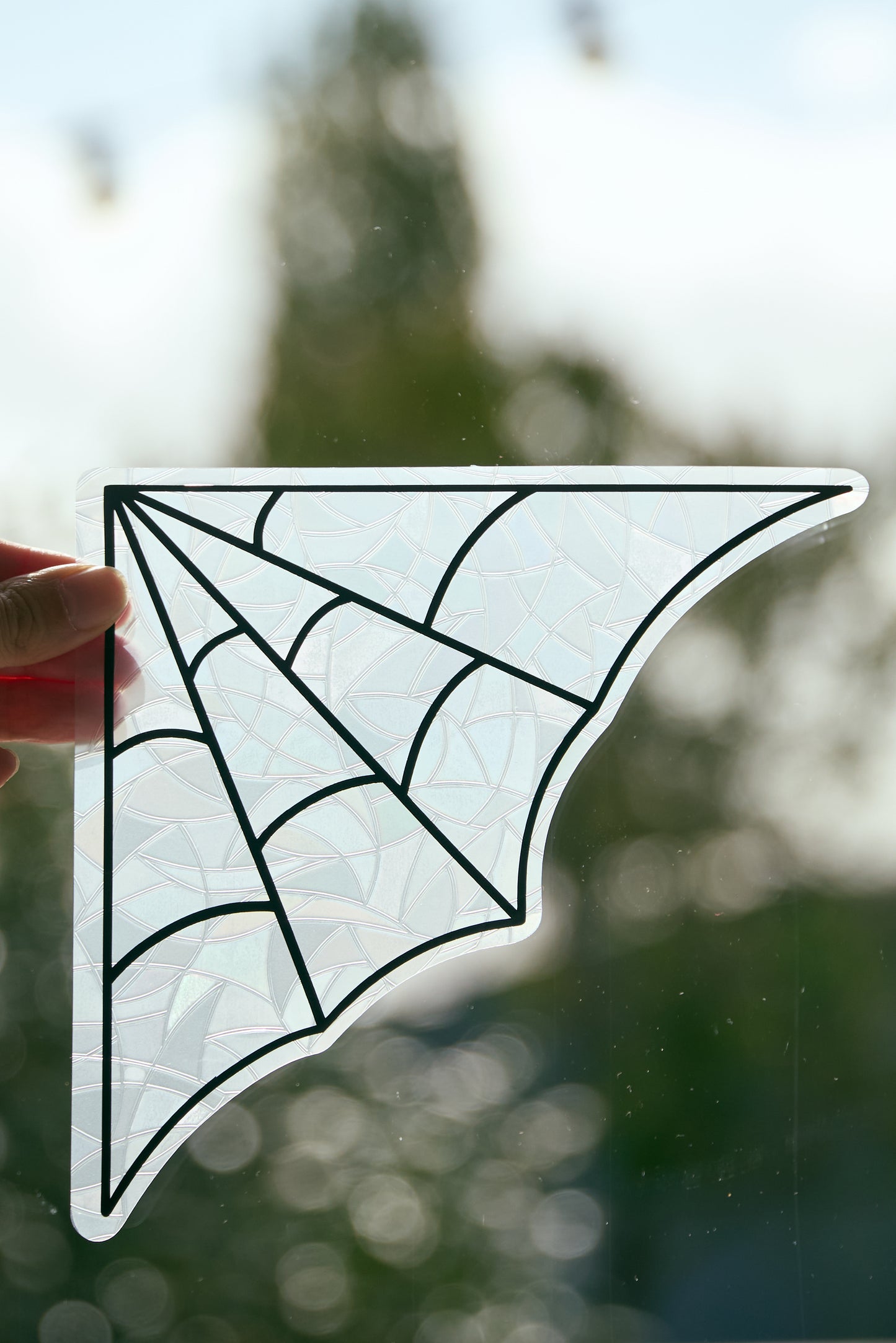 Suncatcher Toile d'Araignée