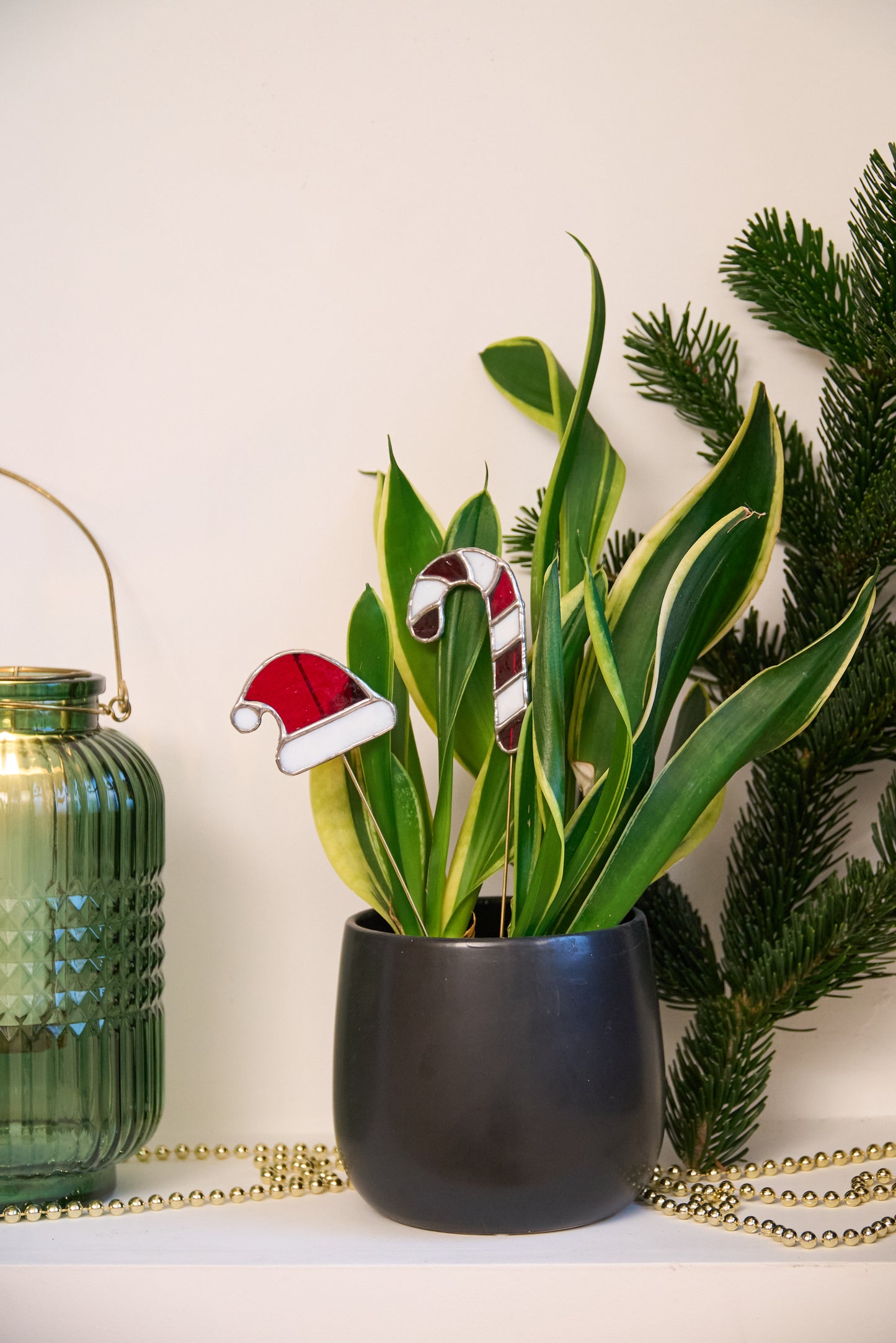 Décoration de plante - Sucre d'Orge