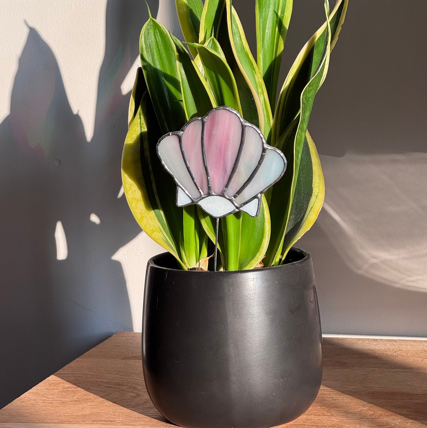 Ornement vitrail pour plantes - Coquillage