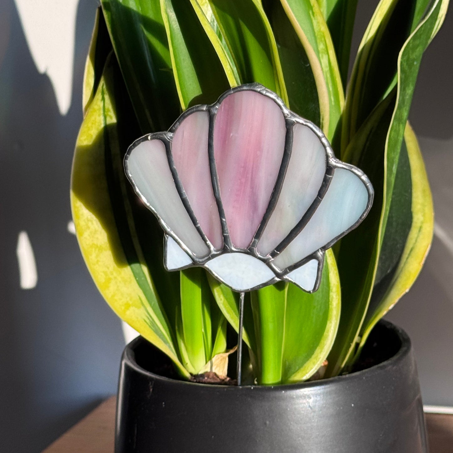 Ornement vitrail pour plantes - Coquillage