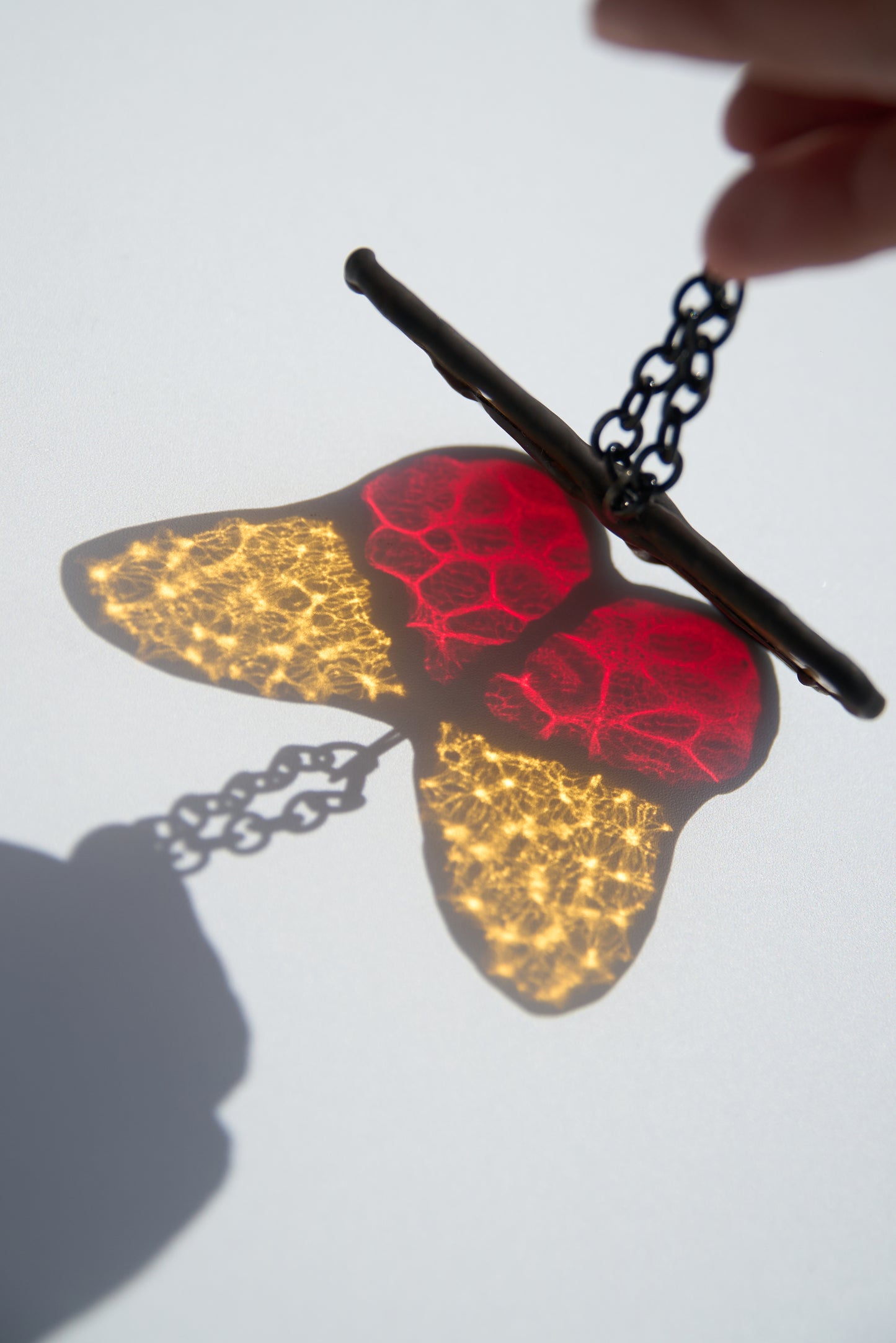 Vitrail Papillon Jaune et Rouge