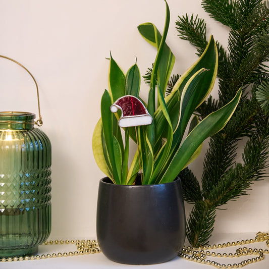 Décoration de plante - Bonnet Père Noël