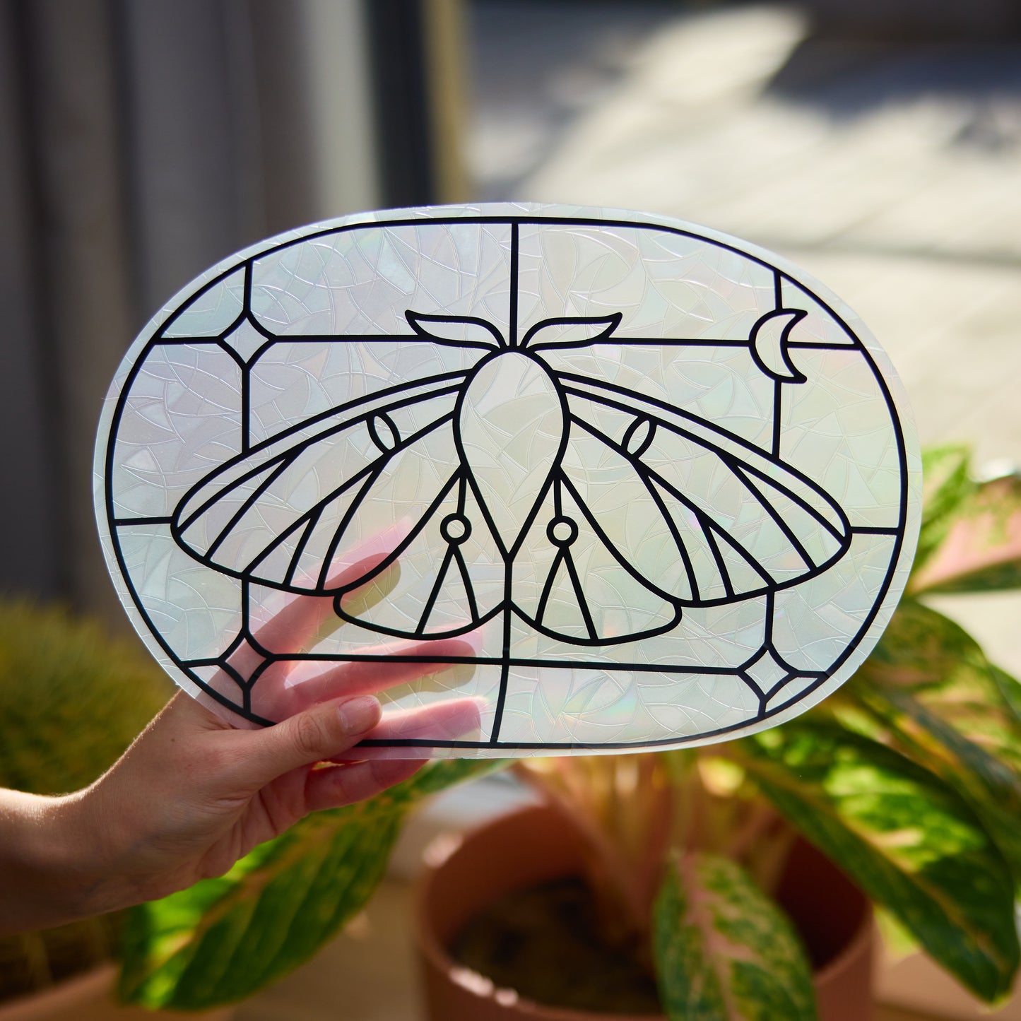 Suncatcher Papillon de nuit